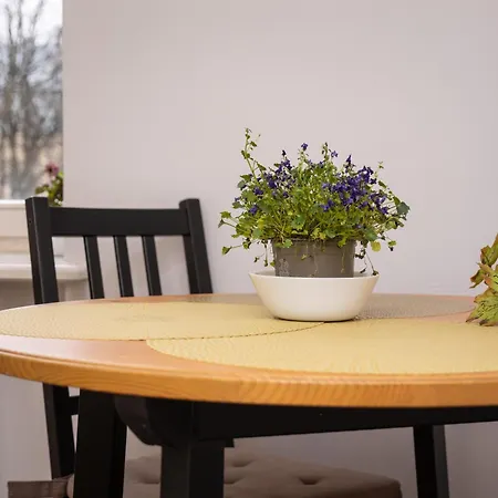 アパート Embassy Area, Spacious 2br リガ